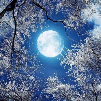 wellyu מותאם אישית בקנה מידה גדול קיר HD הירח העגול יער שלג זירת סקיי שמי הלילה לילה התקרה טפט הרקע