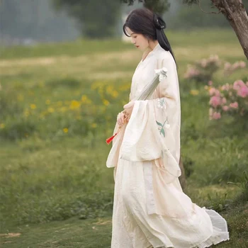 נשים סינית מסורתית Hanfu תחפושת רקמה שושלת טאנג הנסיכה פולק בגדי ריקוד אלגנטי הגברת שושלת האן השמלה