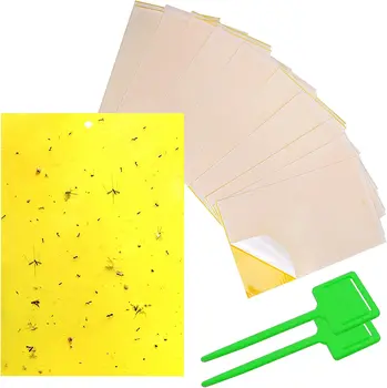 20-Pack כפול-צדדית מלכודות דבק צהובות עבור זבובי פטריות כנימות כנימות עש Leafminers תריפסים ברחשים